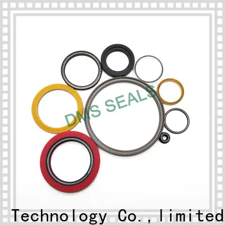 DMS Seals Quality spring energized ptfe seal wholesale for cementing