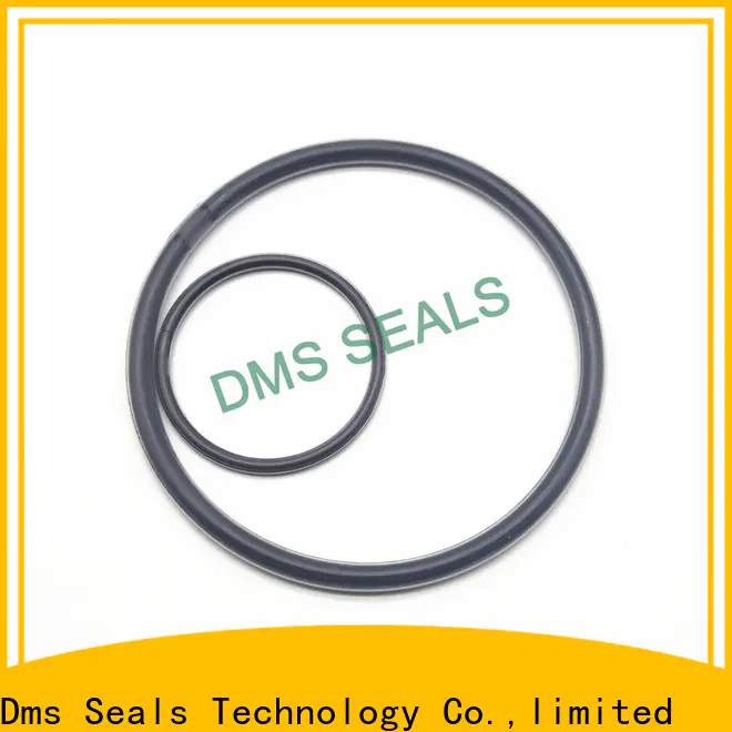 DMS Seals Top rubber o rings ace hardware factory in highly aggressive chemical processing
