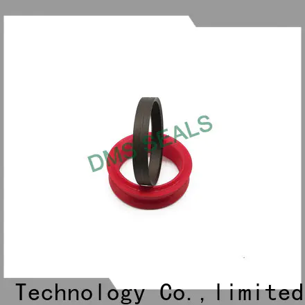 DMS Seals rubber seal molding supplier