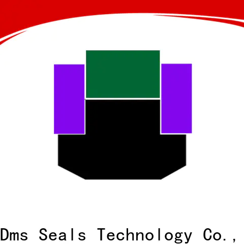 DMS Seals cylinder oil seal for business for sale