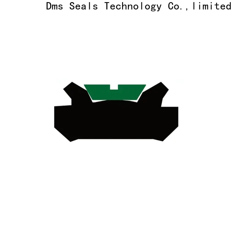 DMS Seals Top spareage piston seals manufacturer for pneumatic equipment