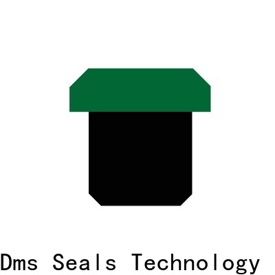 DMS Seals New hydraulic valve seals Suppliers for light and medium hydraulic systems