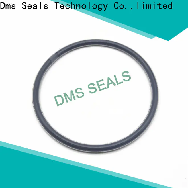 DMS Seals o ring 1.5 in highly aggressive chemical processing