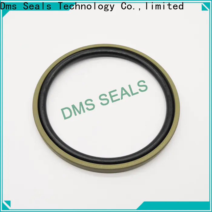 DMS Seals carbon seal manufacturer wholesale for larger piston clearance