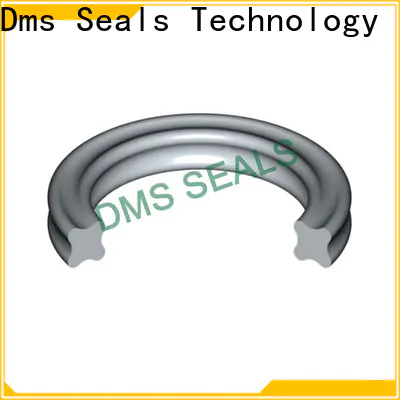 DMS Seals ring suppliers factory for sale