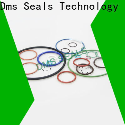 DMS Seals Top 005 o ring for business for static sealing