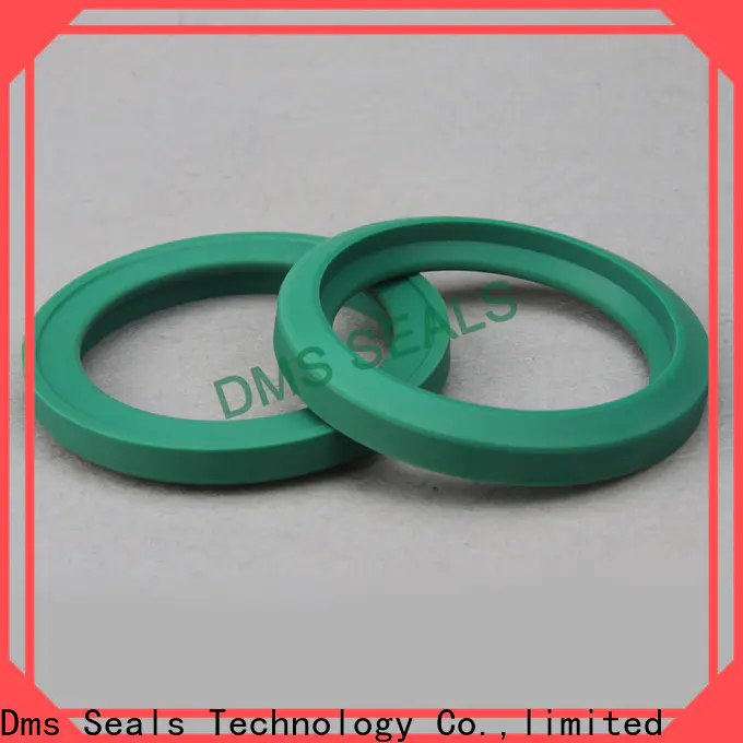 DMS Seals lip seal suppliers o ring for piston and hydraulic cylinder