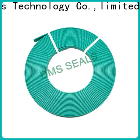 DMS Seals High-quality bearing manufacturing machine wear ring for sale