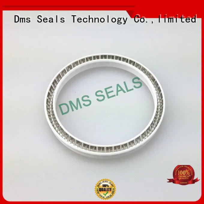 Hot spring energized seals spring DMS Seal Manufacturer Brand
