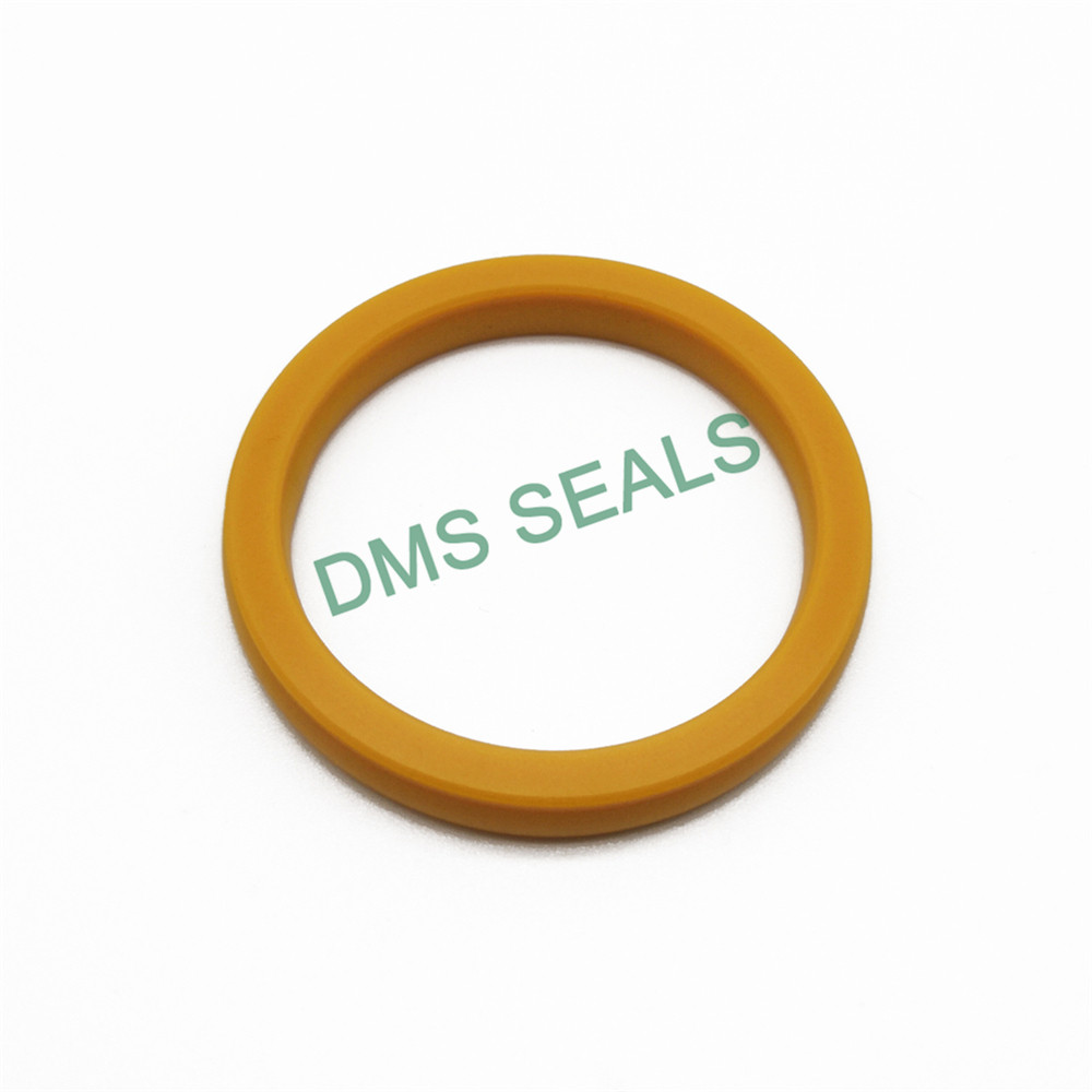 DMS Seals spring loaded oil seal wholesale for reciprocating piston rod or piston single acting seal-5
