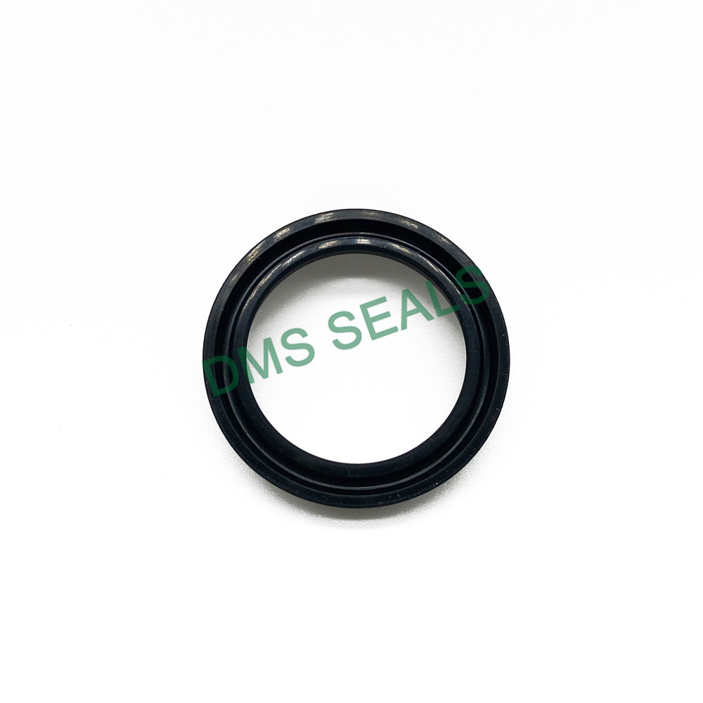 product-DMS Seals-img