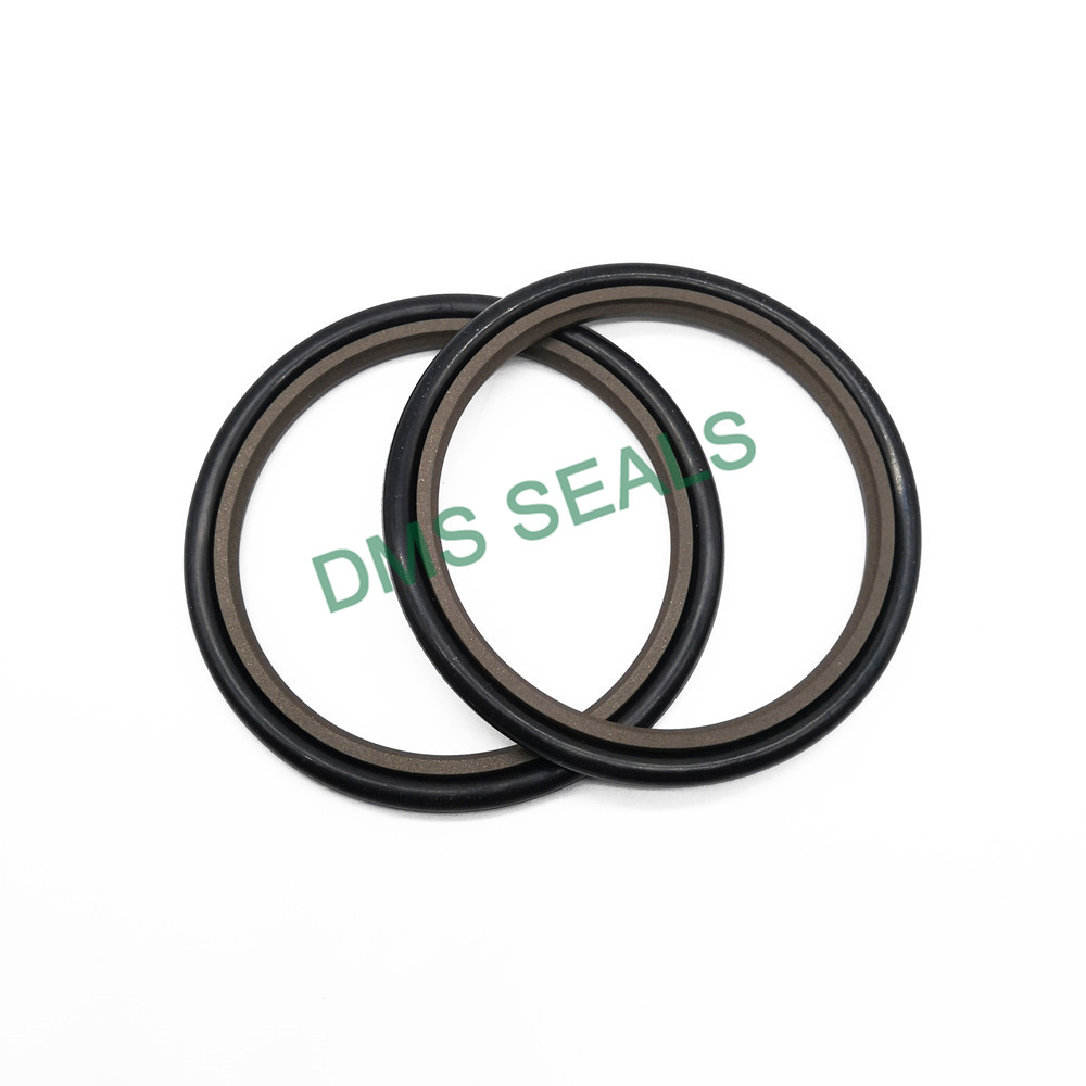 DMS Seals cylinder rod seal cost for sale-4