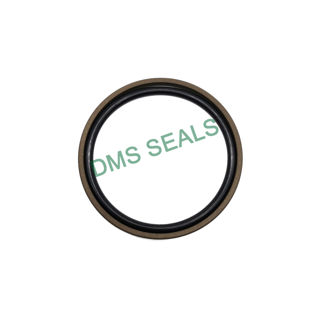 DMS Seals Custom hydraulic gasket sealant factory for light and medium hydraulic systems-4