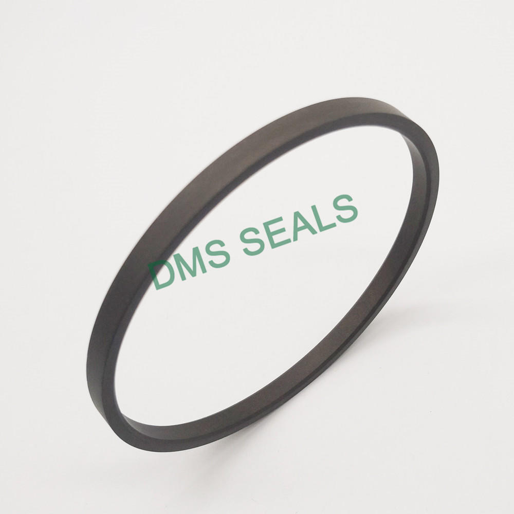 Carbon parts set shaft hydraulic glyd ring GSI rod seal