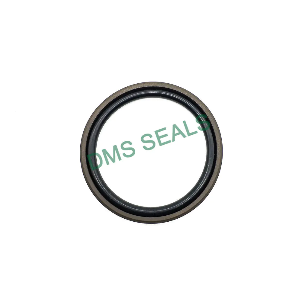 Step Seal for Hole Gsd Seal for Piston Two-Way PTFE Seal