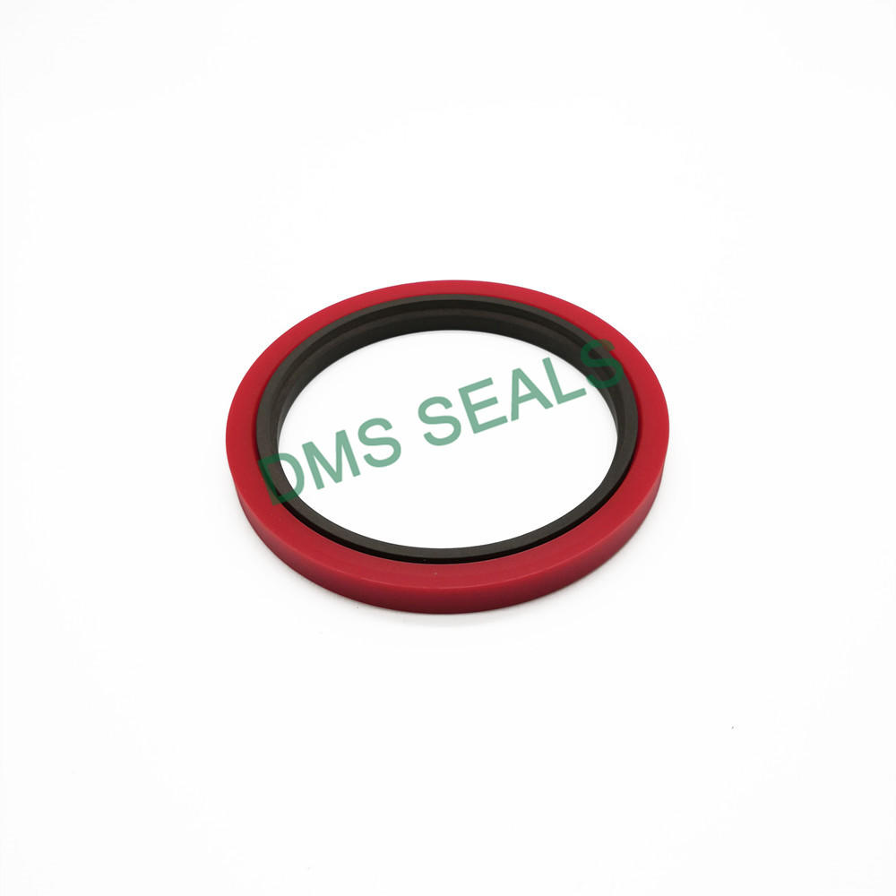 Professional Design Standard or Nonstandard PTFE Rod Seals Gsj-W with NBR/FKM O Ring
