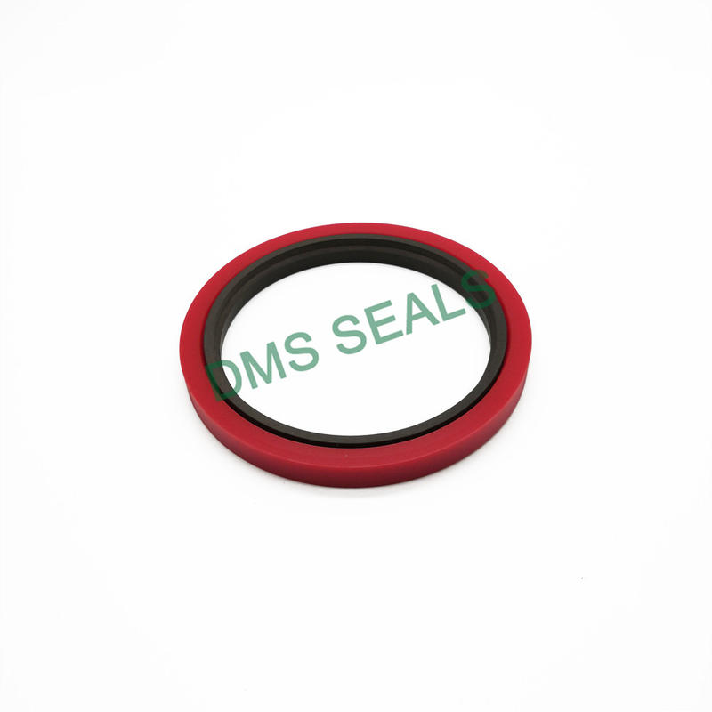 Professional Design Standard or Nonstandard PTFE Rod Seals Gsj-W with NBR/FKM O Ring