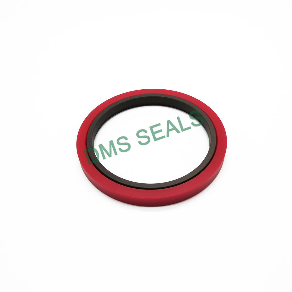 product-DMS Seals-DMS Seals molded seals factory to high and low speed-img