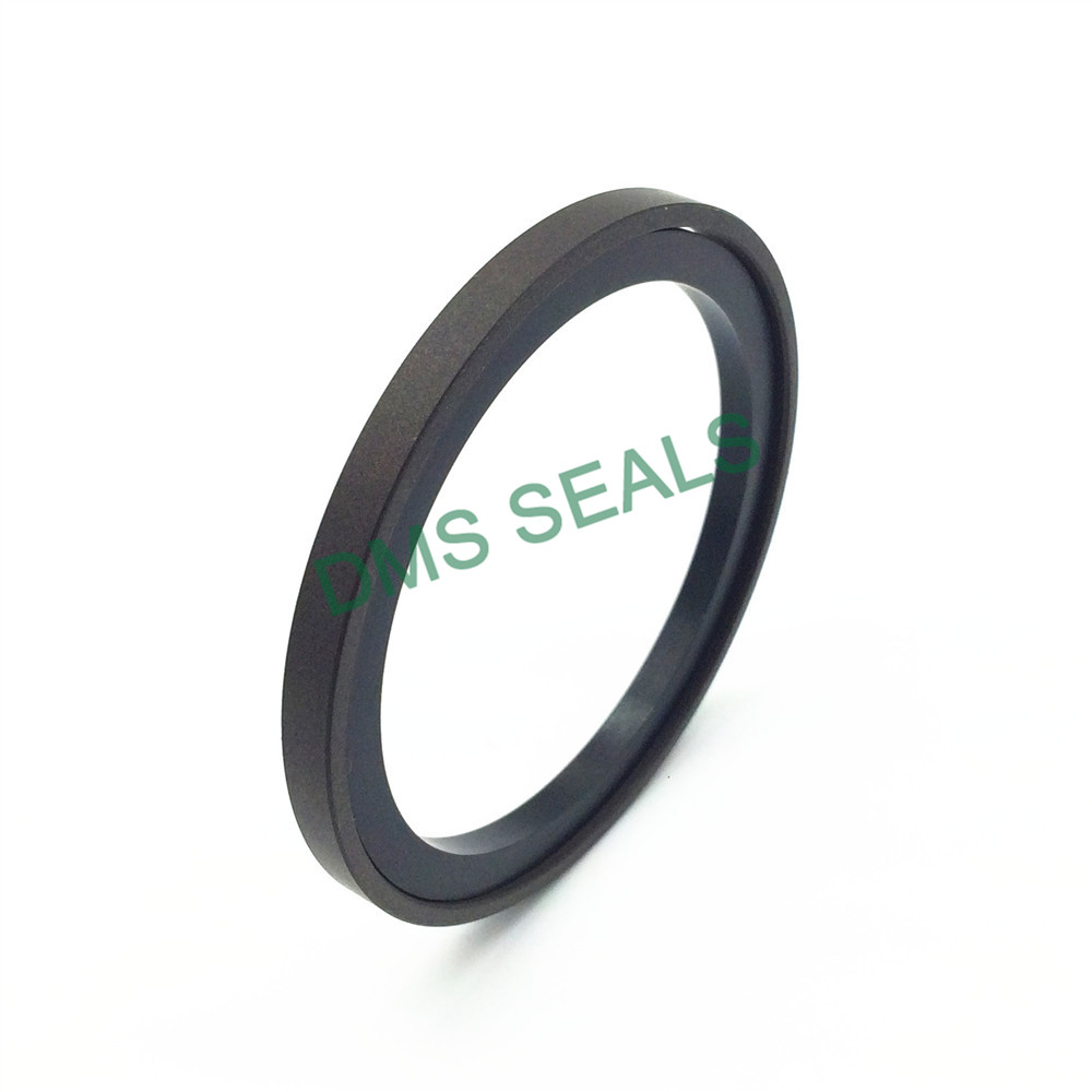 DMS Seals Best piston seal manufacturers supplier for pneumatic equipment-4