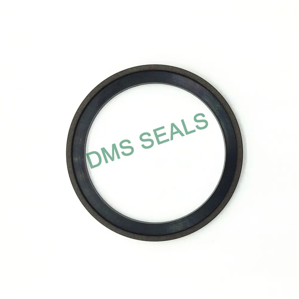 Strong Wear Resistance Excavator Cylinder Seals Spg