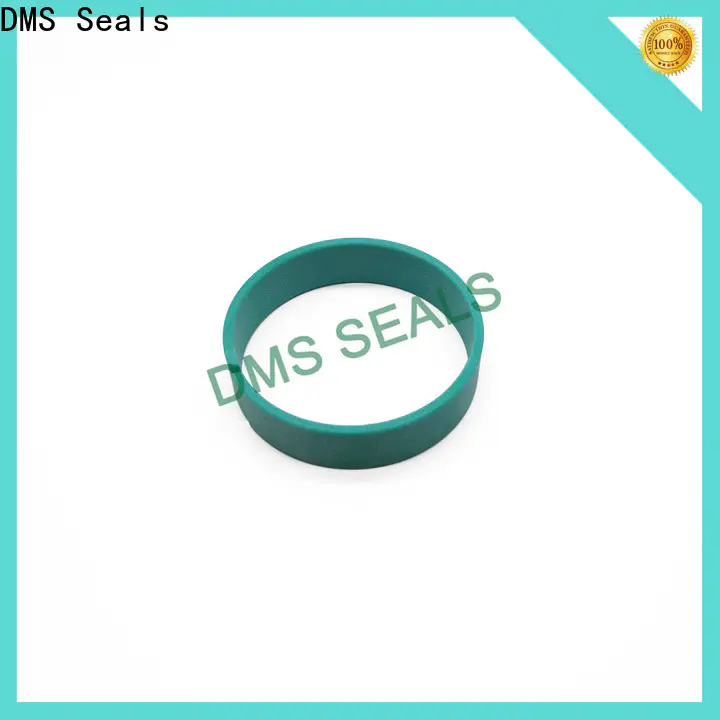 DMS Seals oil seal ring factory as the guide sleeve