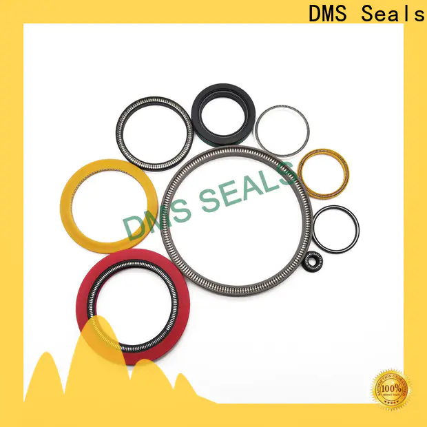 DMS Seals Latest rotary seal design supply for aviation