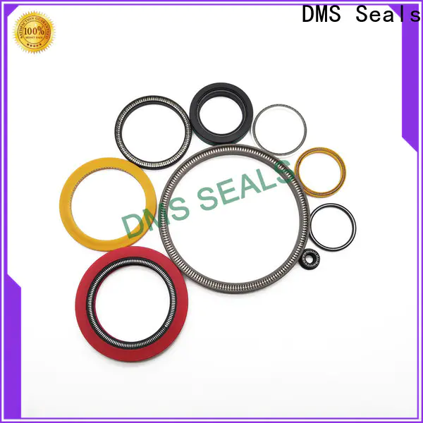DMS Seals Custom spring energized teflon seals wholesale for choke lines