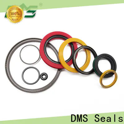 DMS Seals spring energized seals for choke lines