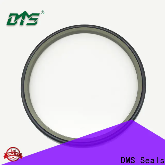 DMS Seals skf wiper seals vendor for agricultural hydraulic press