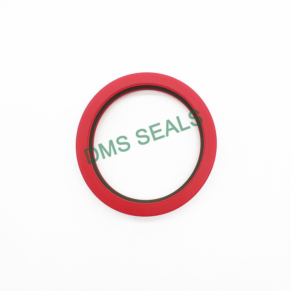 DMS Seals High-quality rubber seals for fluid and hydraulic systems cost for pressure work and sliding high speed occasions-3