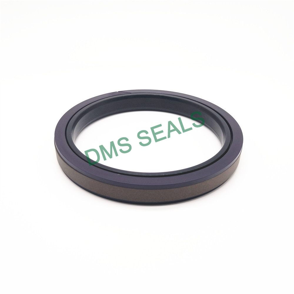 DMS Seals DMS Seals kit seal cylinder factory price for light and medium hydraulic systems-2