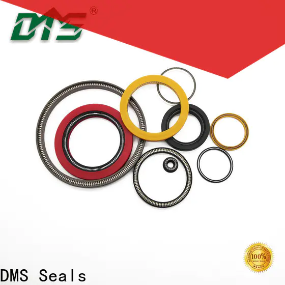 DMS Seals Latest energized seal for sale for cementing