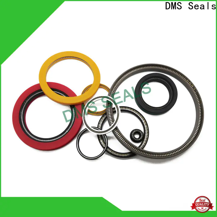 Professional spring energized ptfe seal for sale for valves