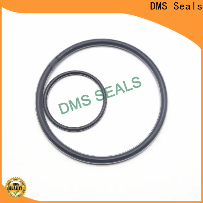 Custom rubber rings for sale company in highly aggressive chemical processing
