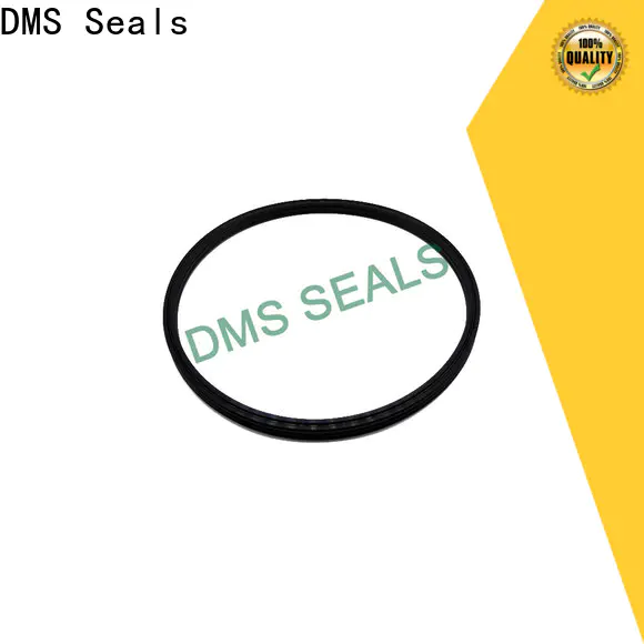 DMS Seals shaft seals for pumps supplier for piston and hydraulic cylinder