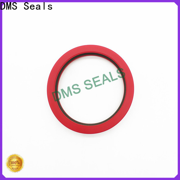 DMS Seals High-quality rubber seals for fluid and hydraulic systems cost for pressure work and sliding high speed occasions