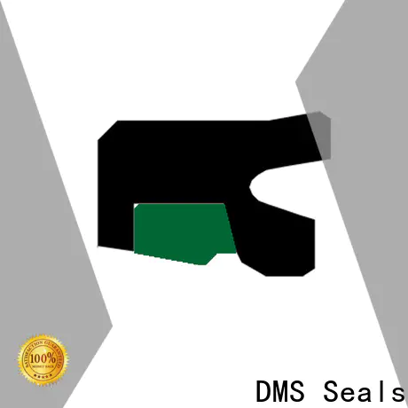 DMS Seals cheap oil seals supplier for sale
