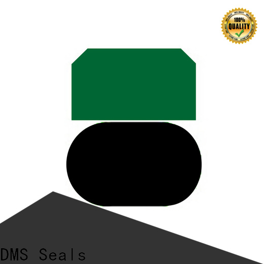 DMS Seals hydraulic pump seals suppliers for sale for light and medium hydraulic systems