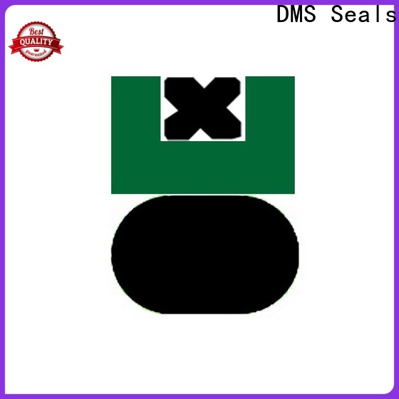 DMS Seals Latest air cylinder piston seals factory price for light and medium hydraulic systems