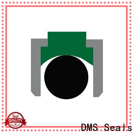 DMS Seals High-quality hydraulic seals & supplies inc company for light and medium hydraulic systems