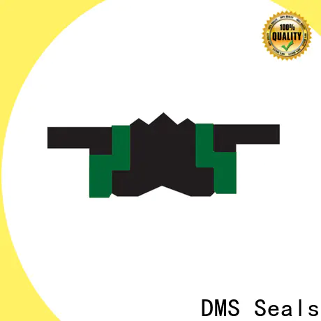 DMS Seals hydraulic rod wipers cost for sale