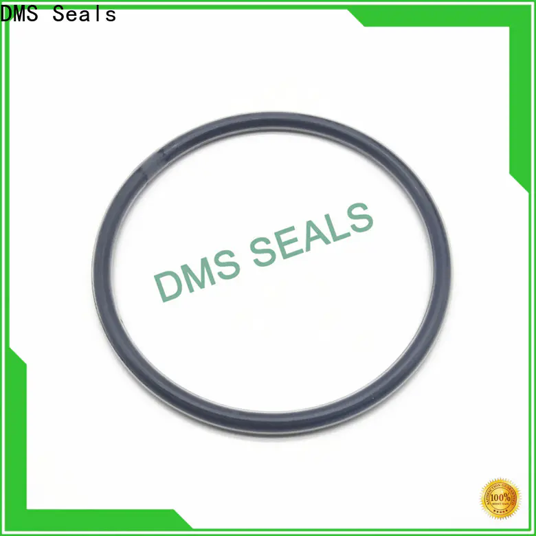 DMS Seals 4.5 inch o ring in highly aggressive chemical processing
