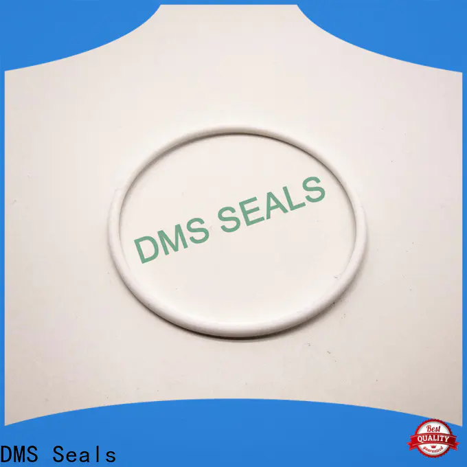 DMS Seals rubber o ring 5mm company in highly aggressive chemical processing
