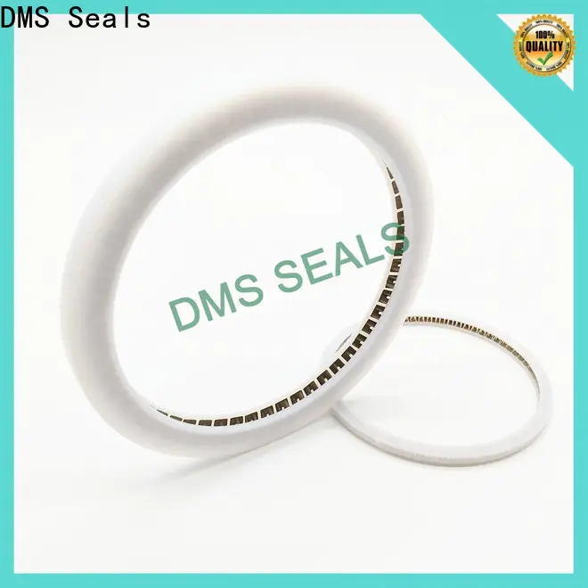 DMS Seals Top oil seal manufacturer wholesale for reciprocating piston rod or piston single acting seal