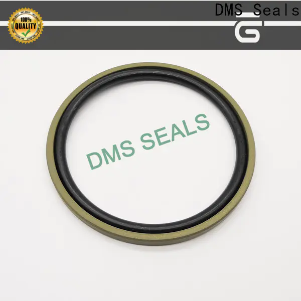 Professional piston seals