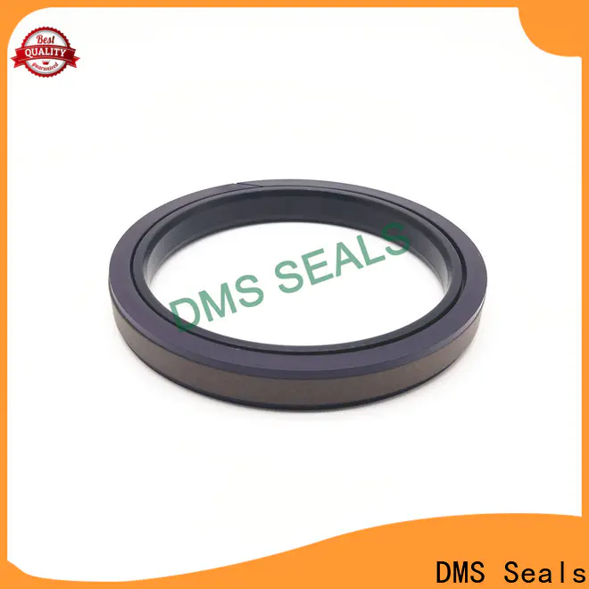 DMS Seals mechanical seals pune factory for larger piston clearance