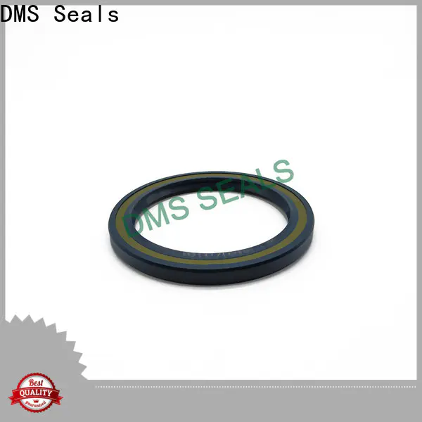 DMS Seals High-quality super oil seal wholesale for low and high viscosity fluids sealing