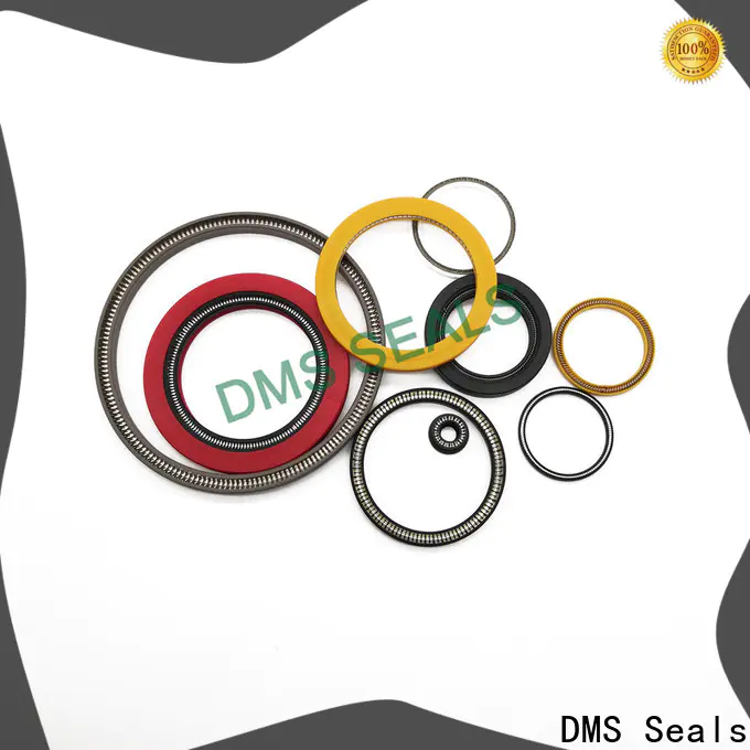 DMS Seals spring seals vendor for reciprocating piston rod or piston single acting seal