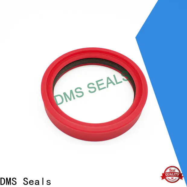 DMS Seals oil seal manufacturers china company