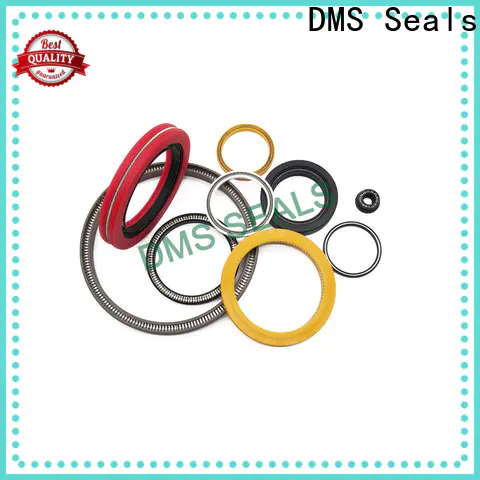 DMS Seals spring energized ptfe seal company for valves